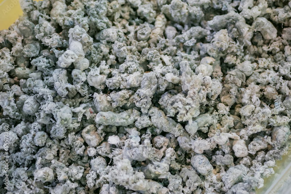 Plastic recycling, renewable resource - heap of secondary soft plastic granules - polystyrene, polyethylene, polypropylene pellets at exhibition, trade show - close up top view Plastic recycling, renewable resource - heap of secondary soft plastic granules - polystyrene, polyethylene, polypropylene pellets at exhibition, trade show - close up top view