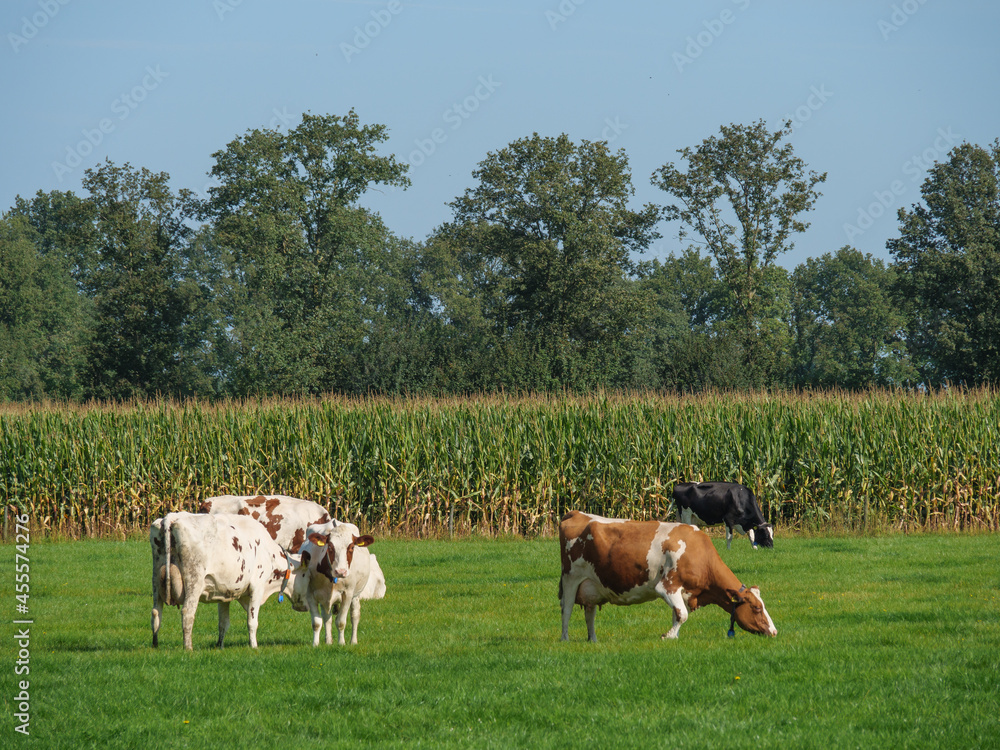 Die Provinz Gelderland in den Niederlanden Die Provinz Gelderland in den Niederlanden