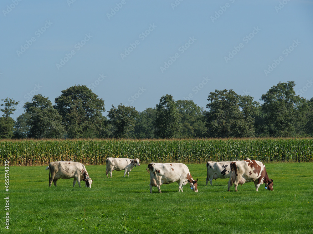 Die Provinz Gelderland in den Niederlanden Die Provinz Gelderland in den Niederlanden