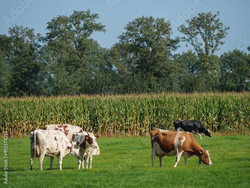 Die Provinz Gelderland in den Niederlanden