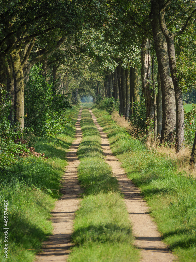 Fototapeta premium Die Provinz Gelderland in den Niederlanden