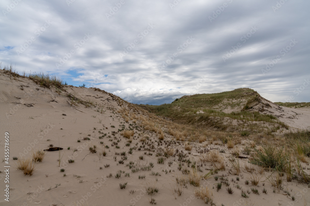 sand dune landscape in Slowinski National Park with grasses and brush under an expressive sky