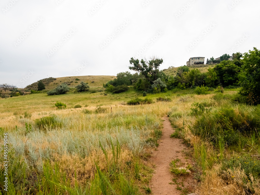 A dirt path on a hiking trail in meadows of sage green grass in Golden, Colorado.