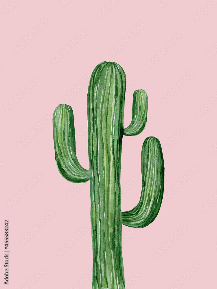 Saguaro cactus. South western plant. Botanical detail for greeting, invitation, card, postcard. Watercolour illustration isolated on white background. Saguaro cactus. South western plant. Botanical detail for greeting, invitation, card, postcard. Watercolour illustration isolated on white background.
