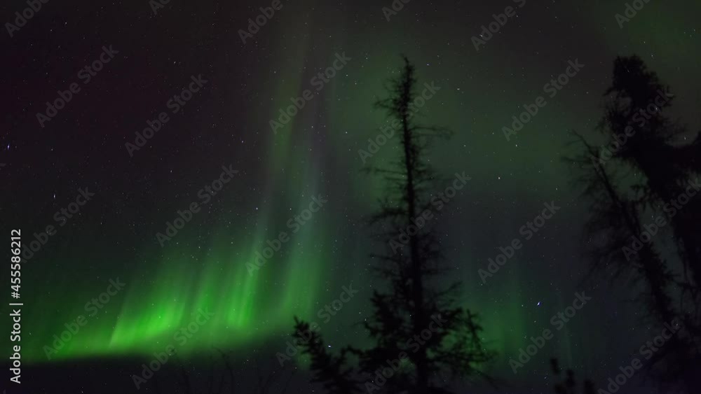 Lockdown Time Lapse Scenic View Of Northern Lights In Forest - British Columbia, Canada Lockdown Time Lapse Scenic View Of Northern Lights In Forest - British Columbia, Canada