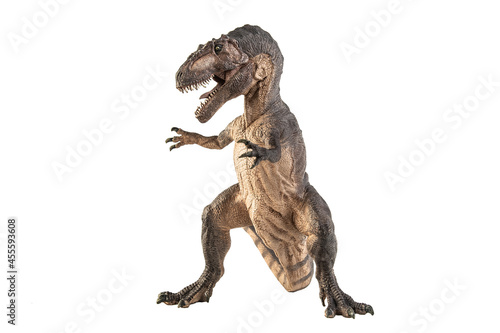 Giganotosaurus Dinosaur on white background