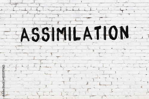 White wall with black paint inscription assimilation on it