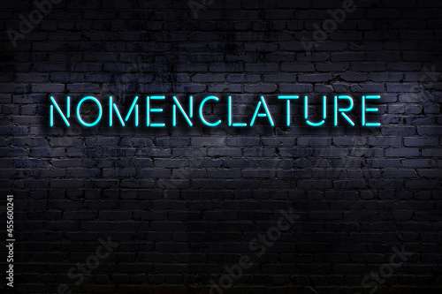 Night view of neon sign on brick wall with inscription nomenclature photo