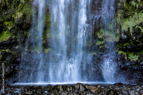 Wallpaper Mural Waterfall in the jungle  Torontodigital.ca
