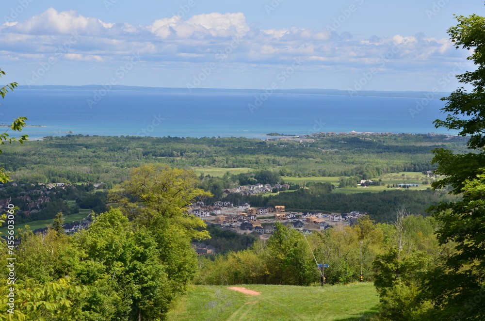 Obraz premium landscape with trees and river