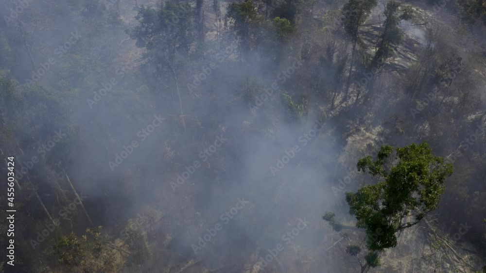 Trees in the Amazon rain forest smolder and burn in a wildfire due to drought - aerial tilt down view Trees in the Amazon rain forest smolder and burn in a wildfire due to drought - aerial tilt down view