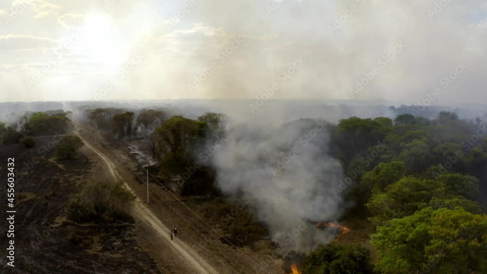 Raging wildfires burning the landscape of the Amazon Rainforest, covering the sky in smoke. Aerial shot. Raging wildfires burning the landscape of the Amazon Rainforest, covering the sky in smoke. Aerial shot.
