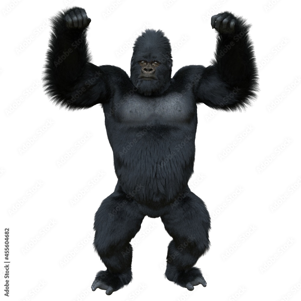Black silver gorilla 3d illustration isolated on white
