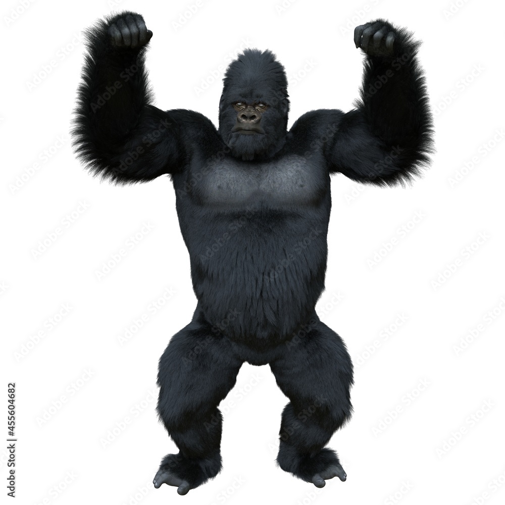 Black silver gorilla 3d illustration isolated on white Black silver gorilla 3d illustration isolated on white