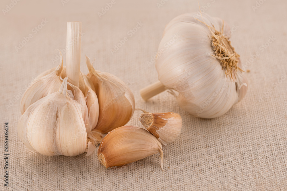 garlic isolated on fabric background. garlic isolated on fabric background.
