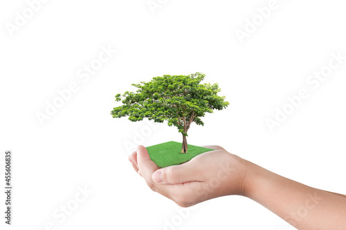 Hand holding green grass field with tree isolated on white background. Environment day concept.