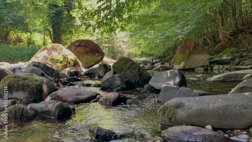 Wallpaper Mural Footage- Clear flowing water,  river stream. Seamless loop full HD 1920 x 1080 footage Torontodigital.ca