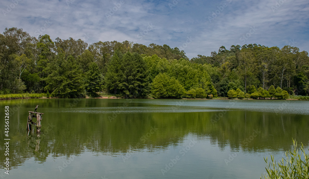 Fototapeta premium Lagoa Esverdeada