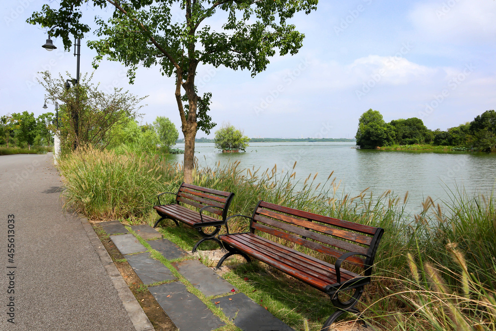 Obraz premium bench on the lake
