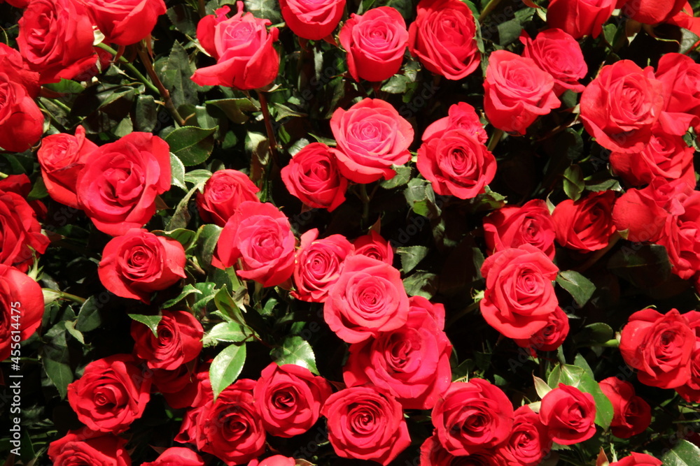 bouquet of red roses bouquet of red roses