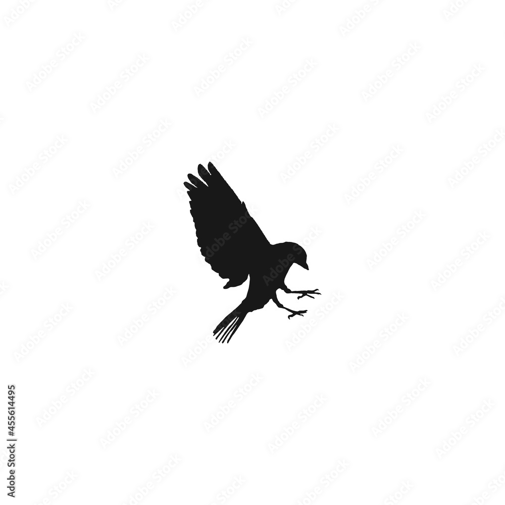 Obraz premium logo bird icon template vector design wings