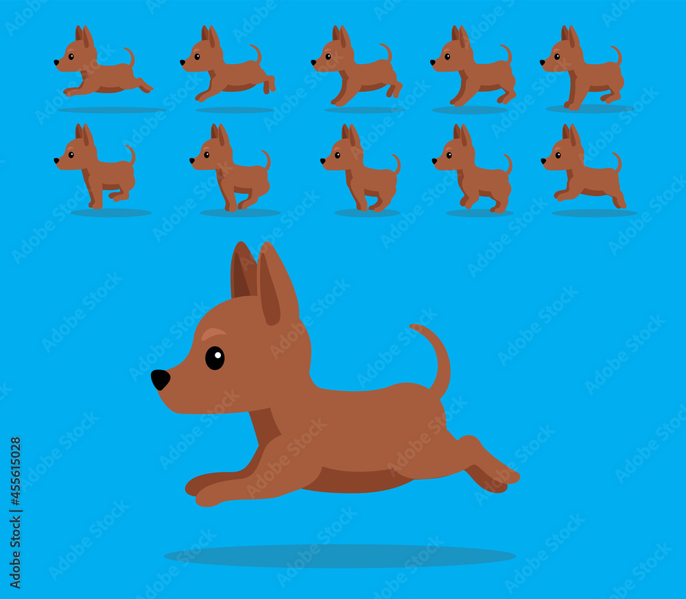 Animal Animation Sequence Dog Miniature Pinscher Cartoon Vector Red Coat