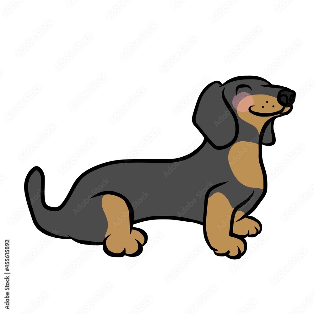 Dachshund dog  cartoon vector illustration