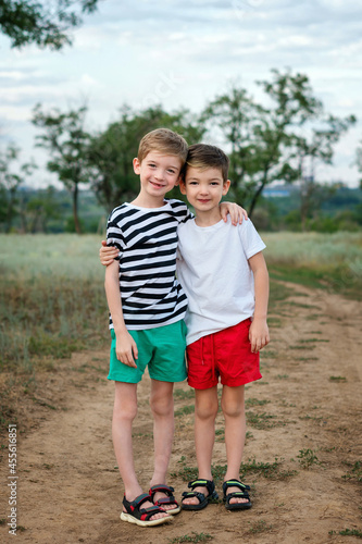 Two happy little kids boys embracing in rural settings. Funny children, siblings and best friends making vacations and enjoying summer day. Family portrait. Life in the Countryside