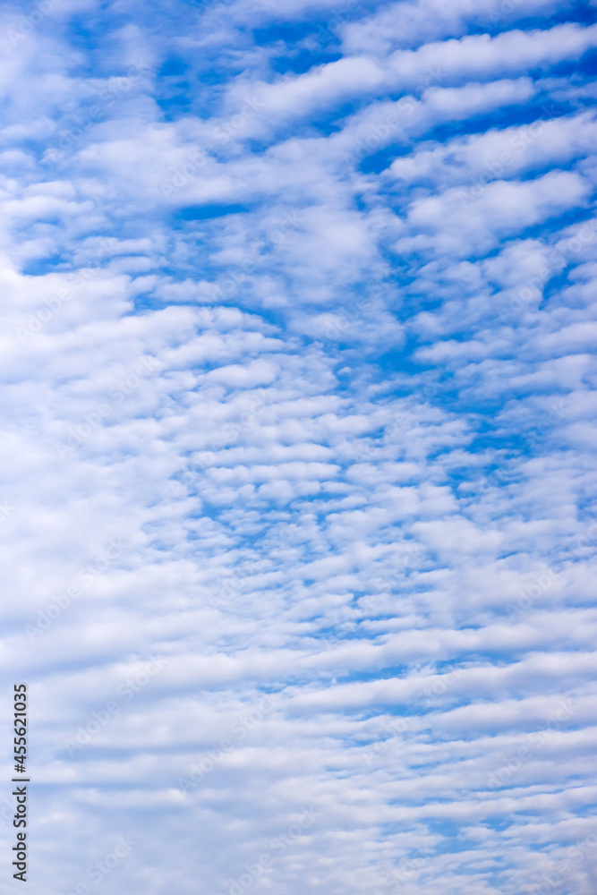 Fototapeta premium 青い空と秋の雲