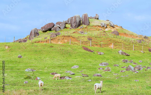 Bolders at Stony Batter, Waiheke Island, Auckland photo