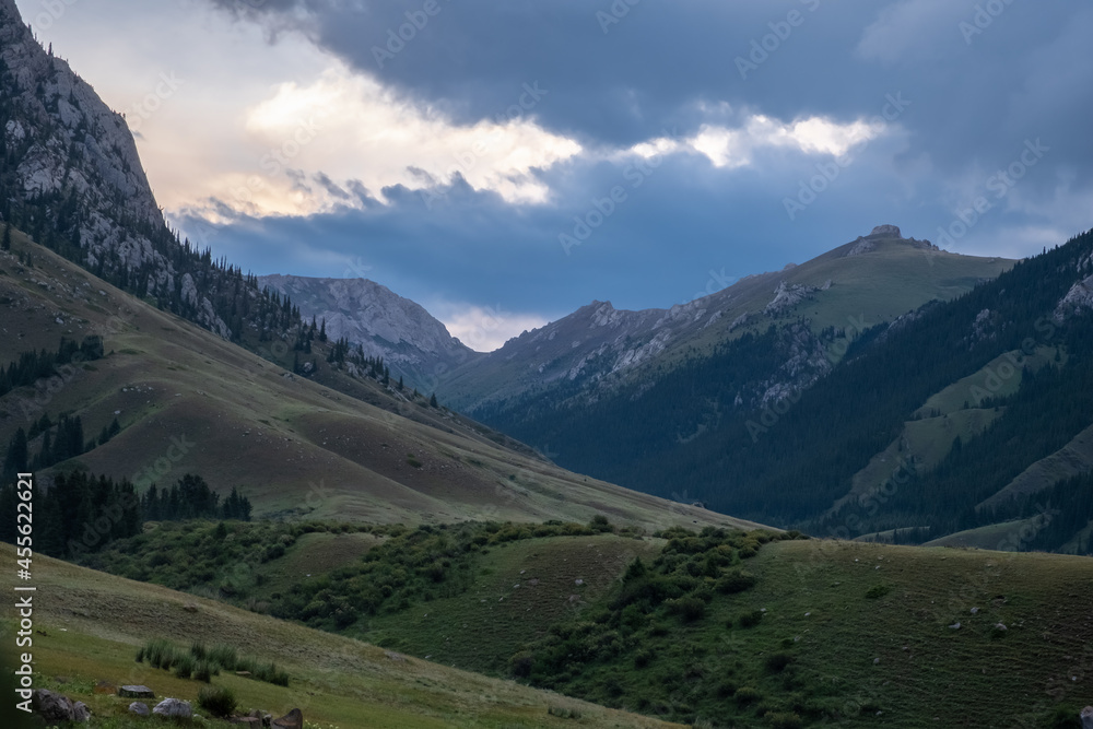 Fototapeta premium Beautiful rocky mountains with green forest on foothills. Beautiful summer landscape. Komirshi gorge in Kazakhstan. Travel tourism concept.