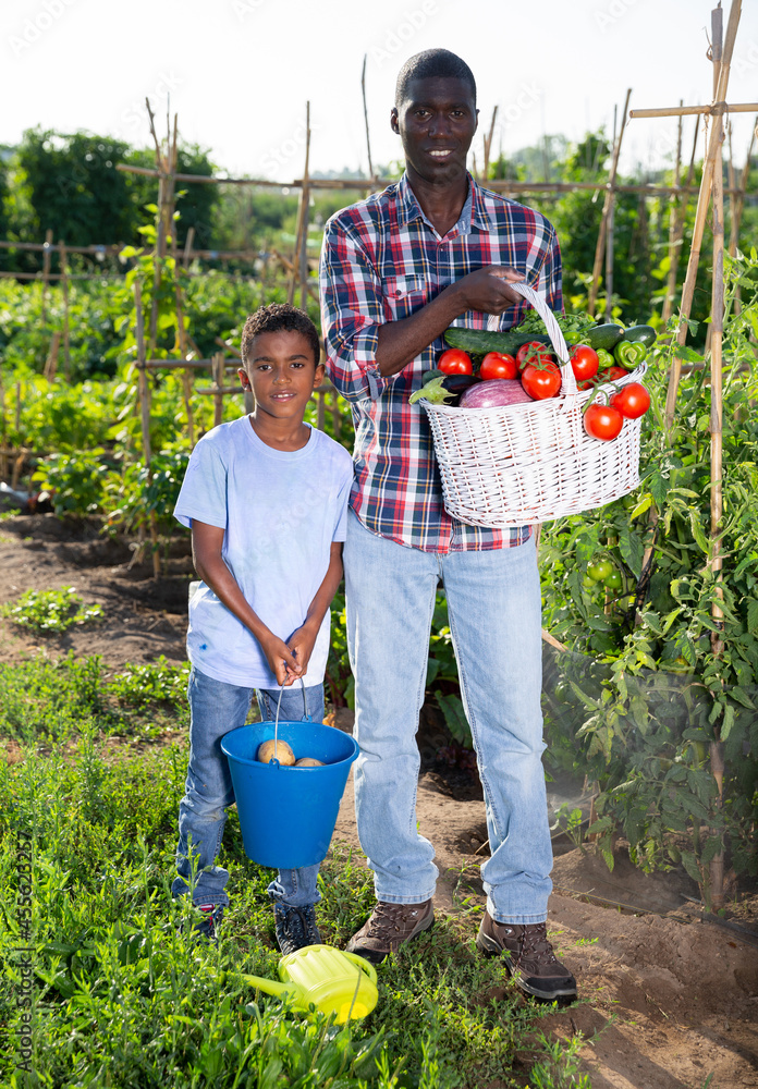 Fototapeta premium Portrait farmer and son with harvest of tomatoes, bell pepers and parsley from the garden. High quality photo