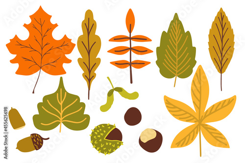 A collection of fallen autumn leaves of different shapes and colors. Autumn background, a poster with colorful leaves. Seasonal autumn elements for creating postcards, invitations. Cartoon flat style