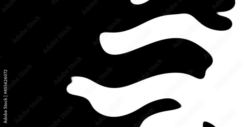 4k animated transition. Transformation of black to white and white to black. Transition effect. 4k animated transition. Transformation of black to white and white to black. Transition effect.