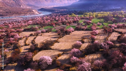 Peach Blossom Snow Mountain in Nyingchi, Xizang, China