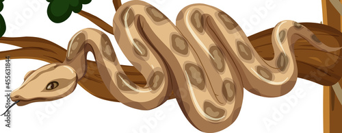 Close up of a snake on a wooden branch