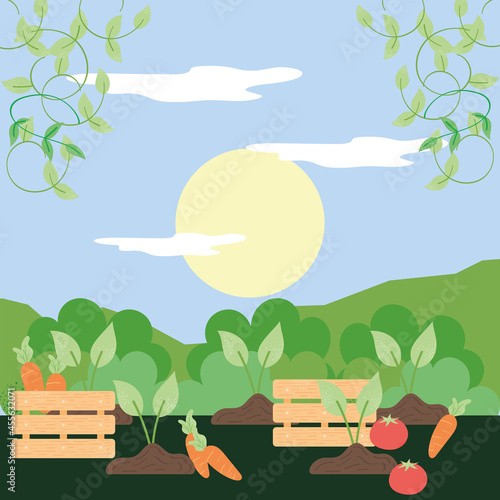 baskets and fresh vegetables