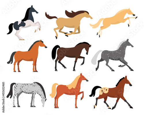 Horses of different breeds flat vector illustrations set. Wild or domestic American, Arabian, thoroughbred horses for farm or racing isolated on white background. Animals, nature, sports concept