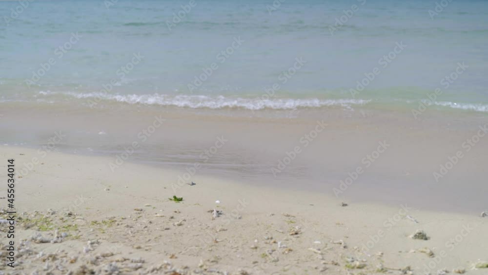 白い砂浜に打ち寄せる透明感のある波(Waves crashing on white sandy beaches) 白い砂浜に打ち寄せる透明感のある波(Waves crashing on white sandy beaches)