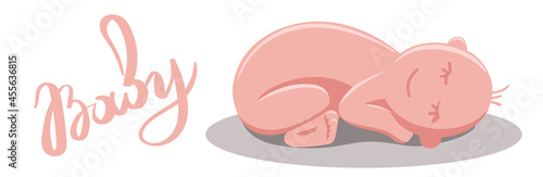 A newborn baby curled up in a ball on his stomach. Lettering words baby, Isolated illustration on a white background.