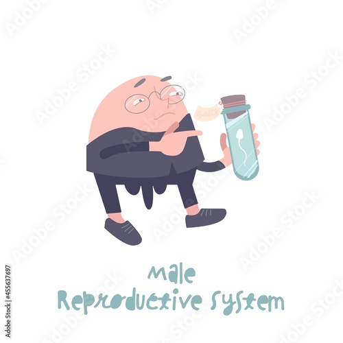 Male reproductive system. Cartoon character in a trendy style.