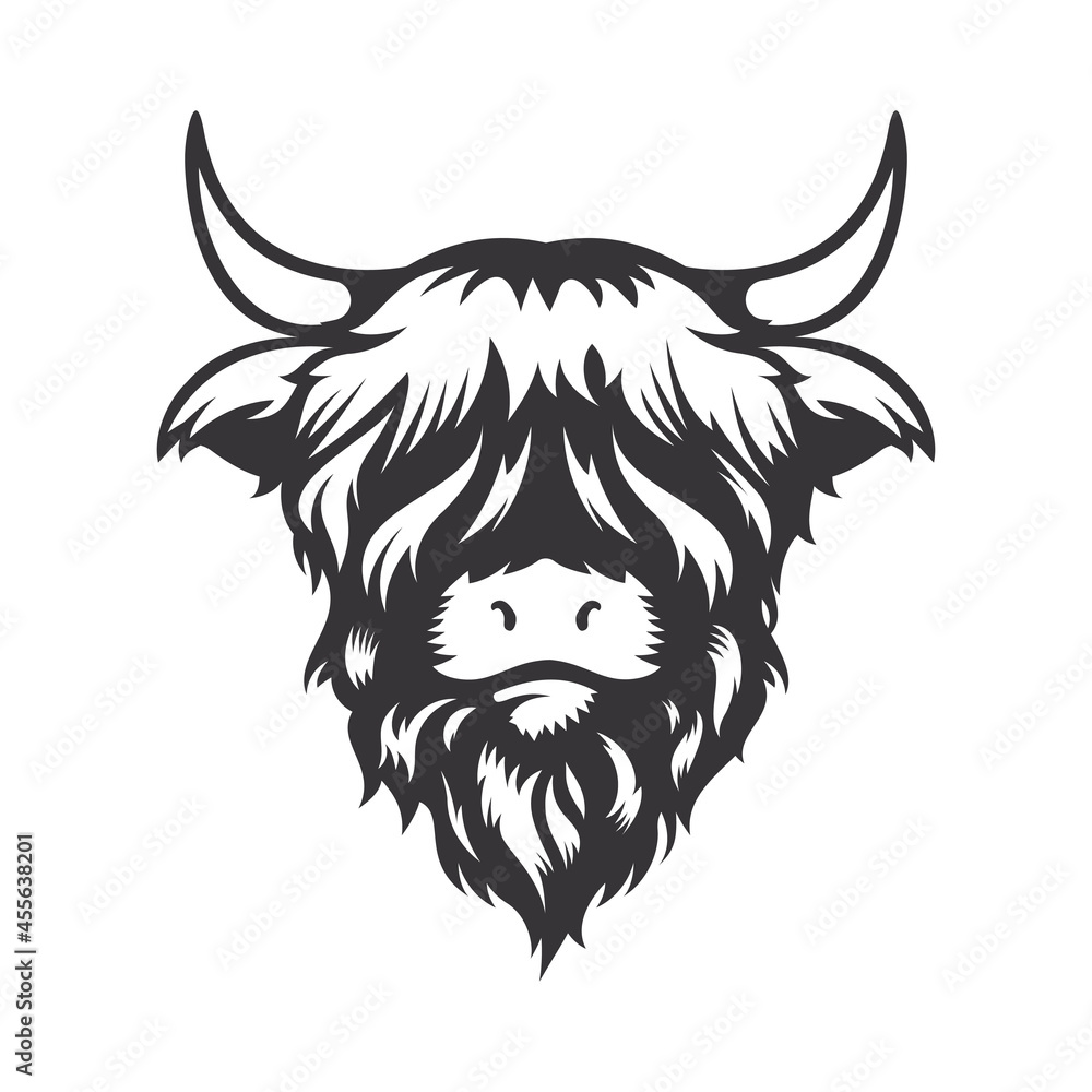 Highland cow head design on white background. Farm Animal. Cows logos or icons. vector illustration. - obrazy, fototapety, plakaty 