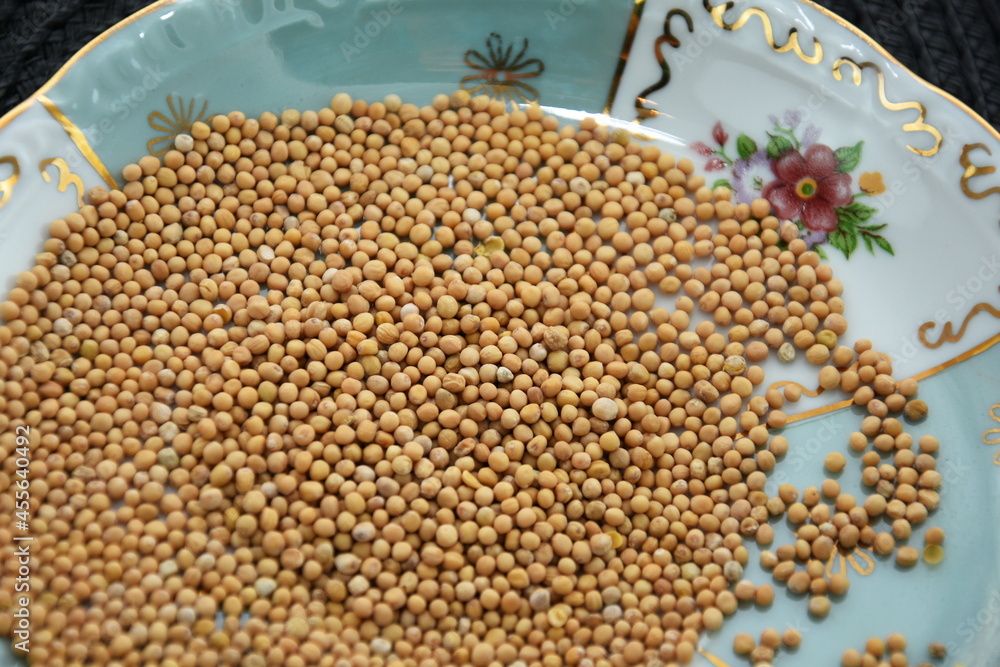 Mustard Seeds isolated(selective focus; close-up shot) mustard seeds in a porcelain plate Mustard Seeds isolated(selective focus; close-up shot) mustard seeds in a porcelain plate