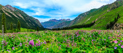 Majestic mountains and beautiful flowers with green grassland in Xiata Scenic Area,Xinjiang,China.