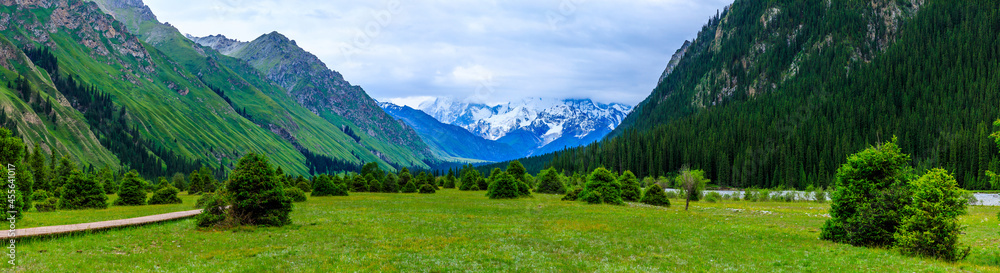 Fototapeta premium Green grassland and white glaciers natural scenery in Xinjiang,China.