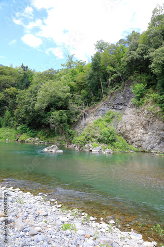 river in the forest