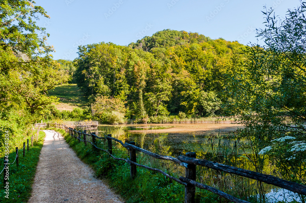 Arlesheim, Ermitage, Weiher, Seerose, See, Holzsteg, Baselland, Waldweg, Wanderweg, Spazierweg, Ausflugsort, Kraftort, Karpfen, Karpfenweiher, Sommer, Schweiz