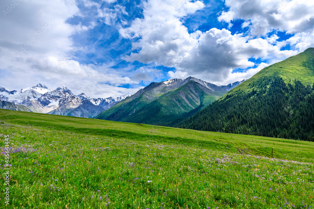 Green grassland and white glaciers natural scenery in Xinjiang,China.