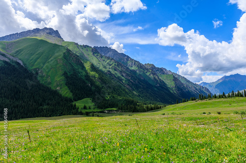 Beautiful grassland and green mountain natural scenery in Xinjiang China.