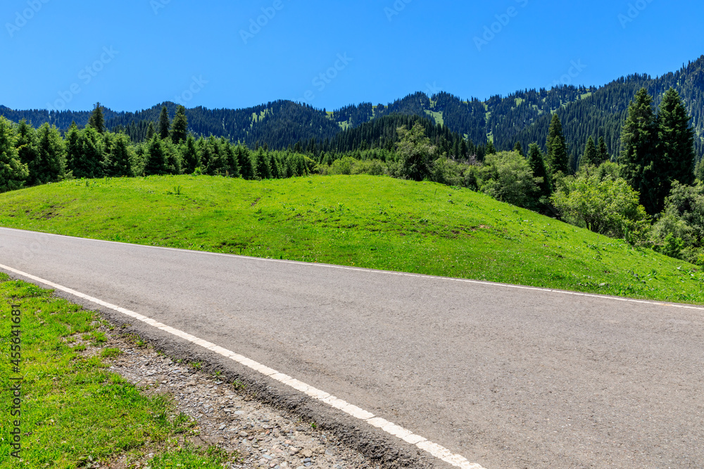 Country road and green forest with mountain natural landscape.